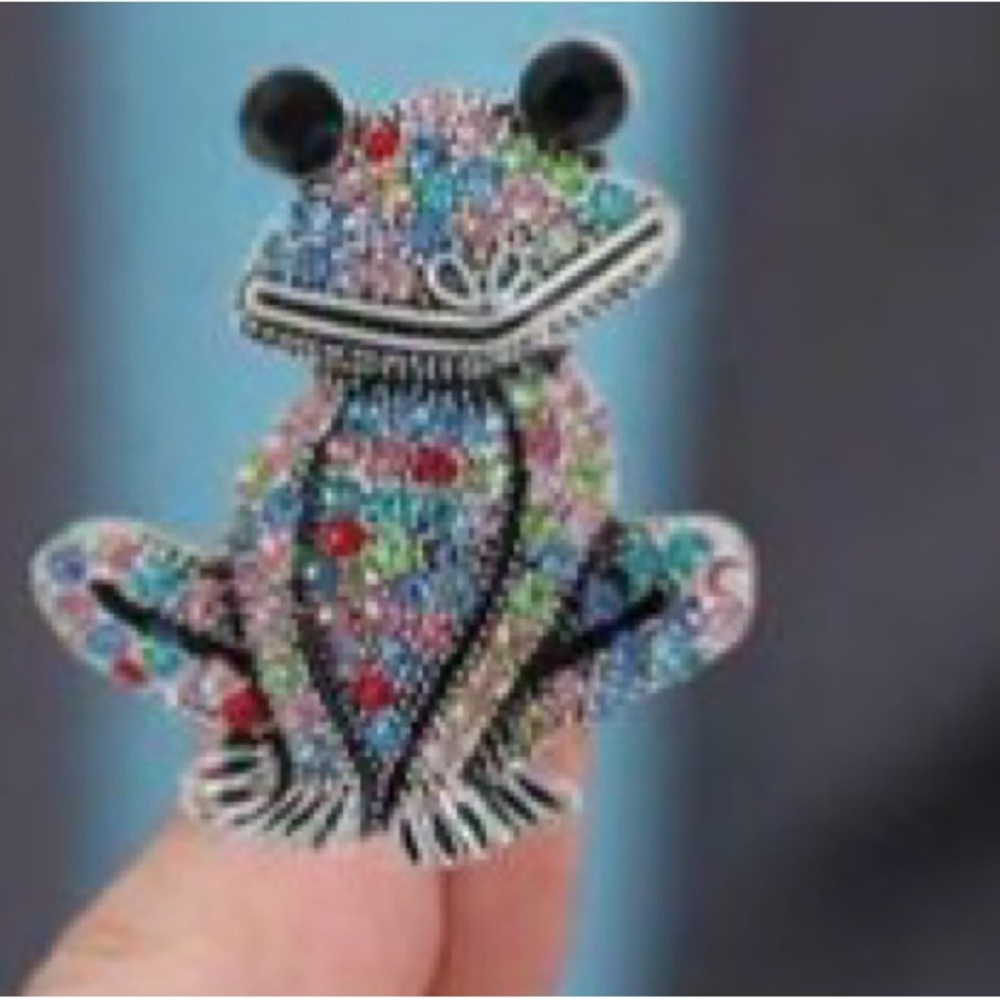 Colorful Beautiful & Elegant Frog Brooch